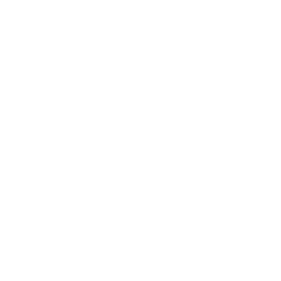 Shield icon