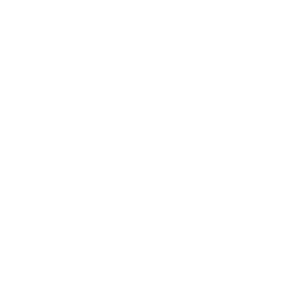 Up and down arrows icon