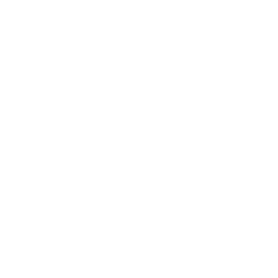 Wire icon